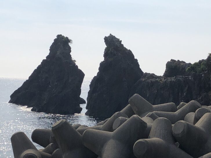 恵比寿岩　越前海岸の夫婦岩【動画有】