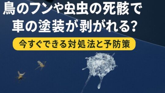 鳥のフンや虫の死骸で車の塗装が剥がれる？今すぐできる対処法と予防策