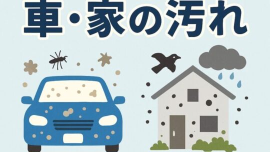 夏になると困る「車・家の汚れ」とは？