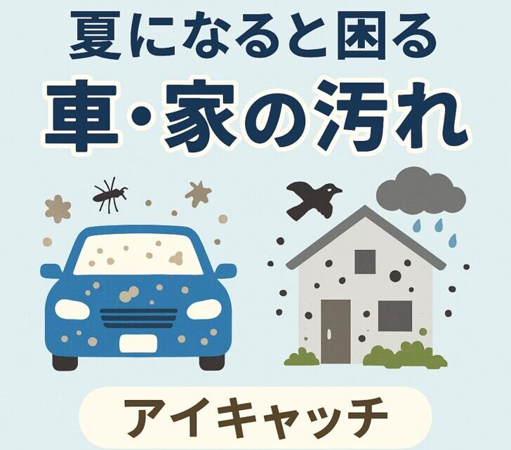 夏になると困る「車・家の汚れ」とは?