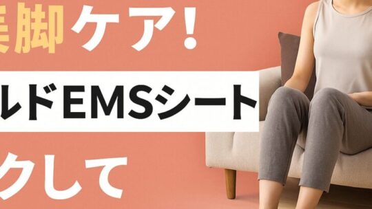 【口コミで話題】ルルドスタイル EMSシートとは？