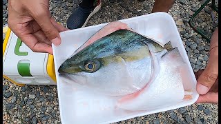 【衝撃】スーパーで580円の「巨大ブリあら」を七輪で焼いたら、脂が凄すぎて大炎上！？